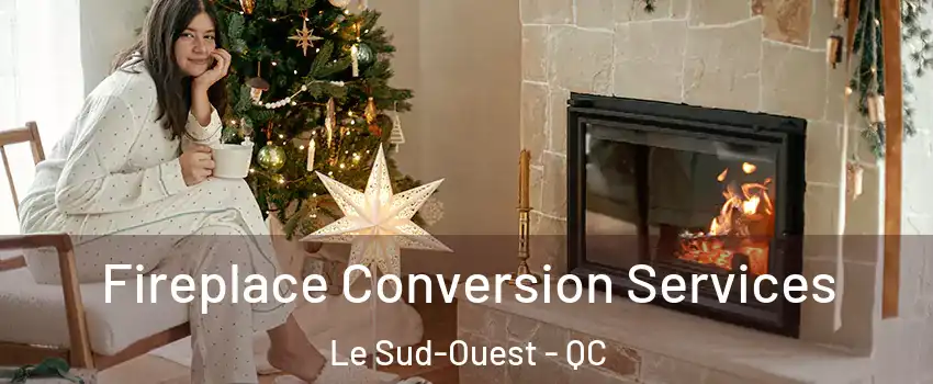  Fireplace Conversion Services Le Sud-Ouest - QC
