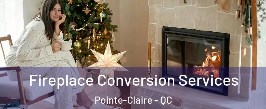  Fireplace Conversion Services Pointe-Claire - QC