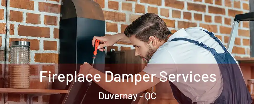  Fireplace Damper Services Duvernay - QC