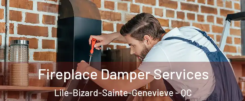  Fireplace Damper Services Lile-Bizard-Sainte-Genevieve - QC
