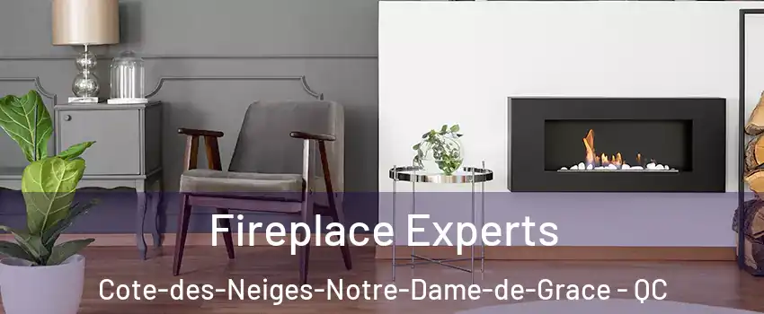  Fireplace Experts Cote-des-Neiges-Notre-Dame-de-Grace - QC