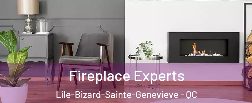  Fireplace Experts Lile-Bizard-Sainte-Genevieve - QC