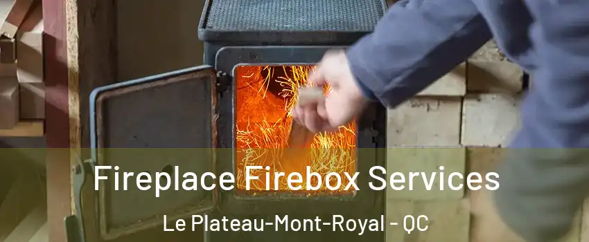  Fireplace Firebox Services Le Plateau-Mont-Royal - QC