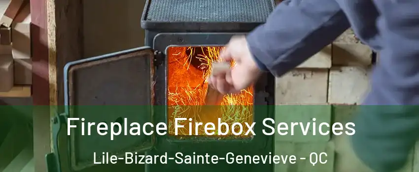  Fireplace Firebox Services Lile-Bizard-Sainte-Genevieve - QC