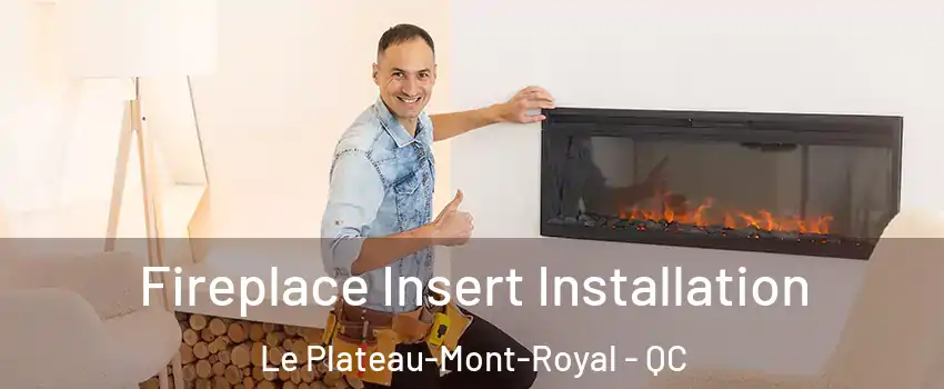  Fireplace Insert Installation Le Plateau-Mont-Royal - QC