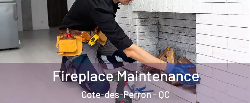  Fireplace Maintenance Cote-des-Perron - QC