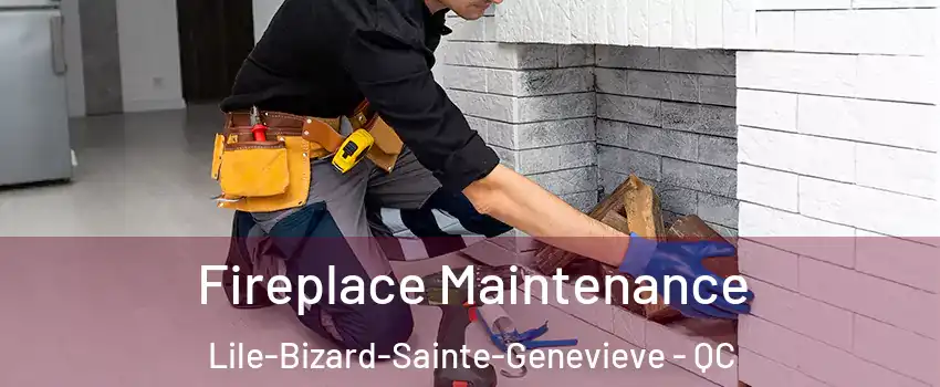  Fireplace Maintenance Lile-Bizard-Sainte-Genevieve - QC