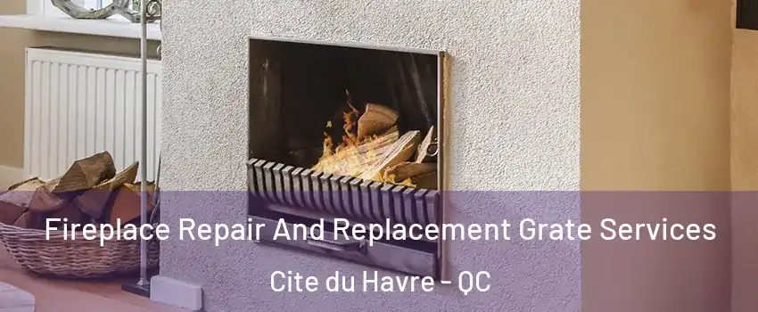  Fireplace Repair And Replacement Grate Services Cite du Havre - QC