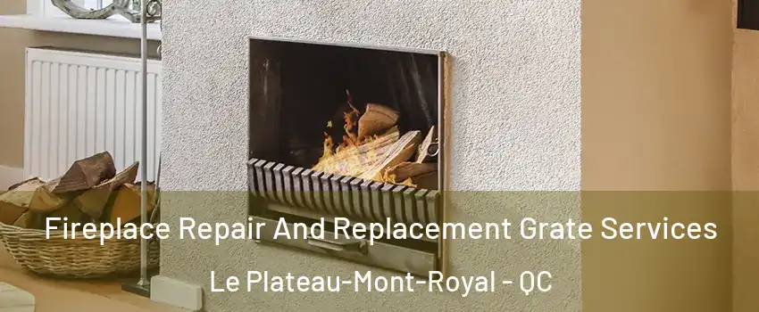  Fireplace Repair And Replacement Grate Services Le Plateau-Mont-Royal - QC