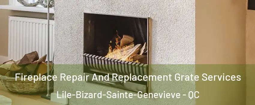 Fireplace Repair And Replacement Grate Services Lile-Bizard-Sainte-Genevieve - QC