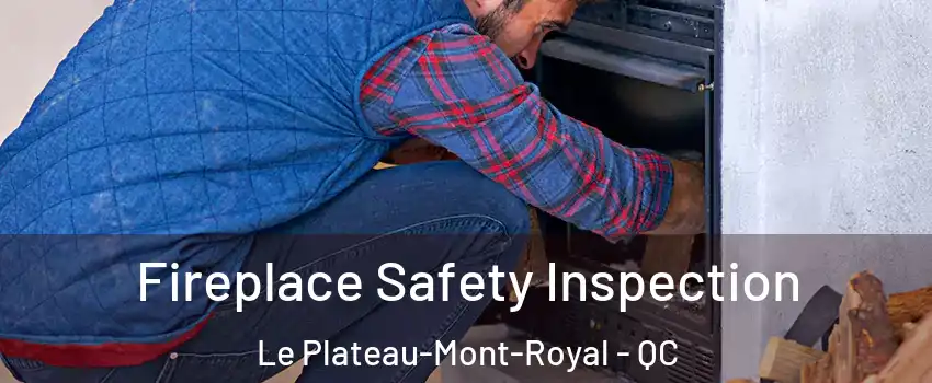  Fireplace Safety Inspection Le Plateau-Mont-Royal - QC
