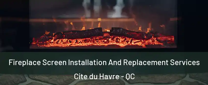  Fireplace Screen Installation And Replacement Services Cite du Havre - QC