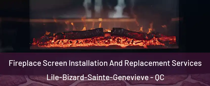  Fireplace Screen Installation And Replacement Services Lile-Bizard-Sainte-Genevieve - QC