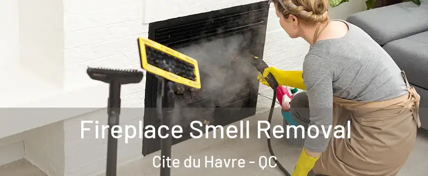  Fireplace Smell Removal Cite du Havre - QC