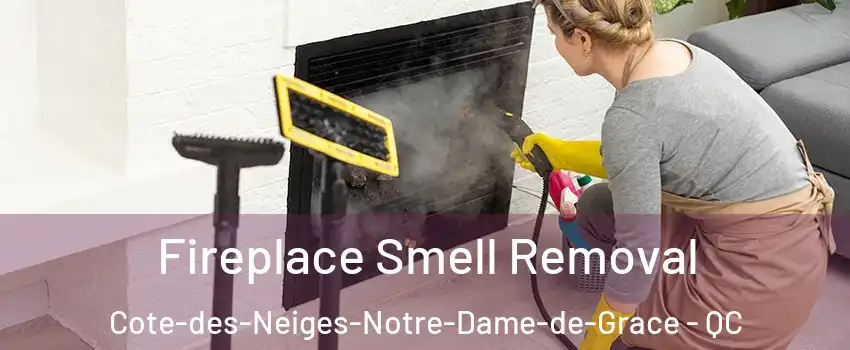  Fireplace Smell Removal Cote-des-Neiges-Notre-Dame-de-Grace - QC