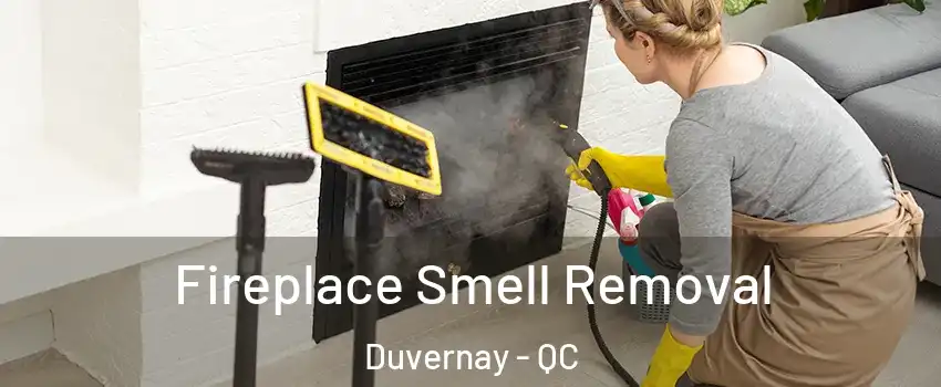  Fireplace Smell Removal Duvernay - QC