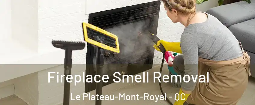  Fireplace Smell Removal Le Plateau-Mont-Royal - QC