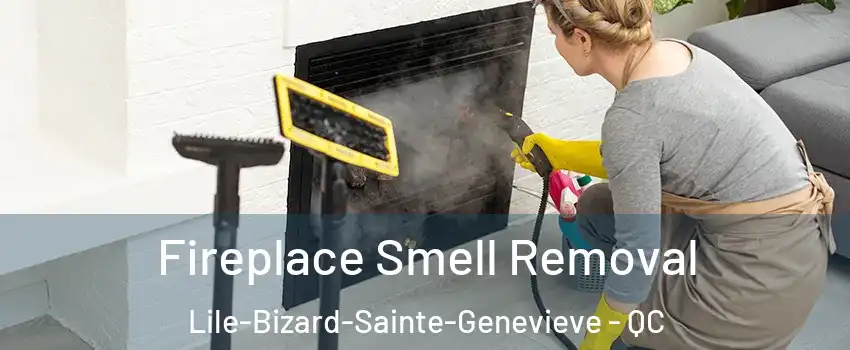  Fireplace Smell Removal Lile-Bizard-Sainte-Genevieve - QC