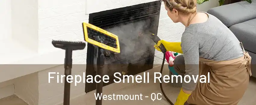  Fireplace Smell Removal Westmount - QC