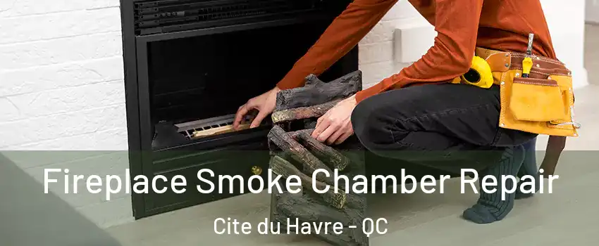  Fireplace Smoke Chamber Repair Cite du Havre - QC