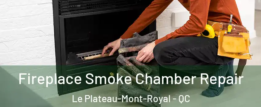  Fireplace Smoke Chamber Repair Le Plateau-Mont-Royal - QC