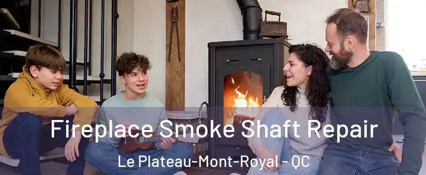  Fireplace Smoke Shaft Repair Le Plateau-Mont-Royal - QC
