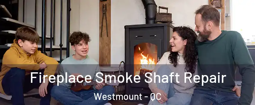  Fireplace Smoke Shaft Repair Westmount - QC