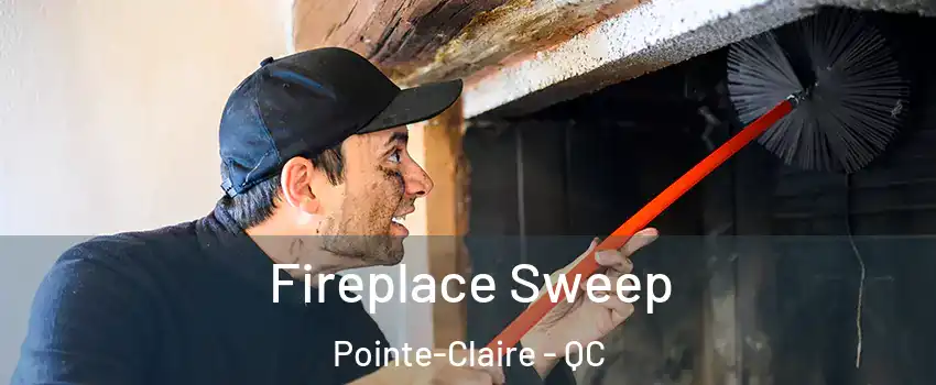  Fireplace Sweep Pointe-Claire - QC