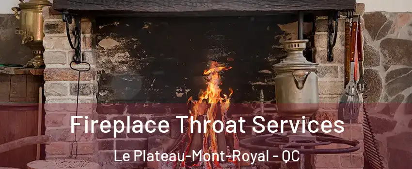  Fireplace Throat Services Le Plateau-Mont-Royal - QC