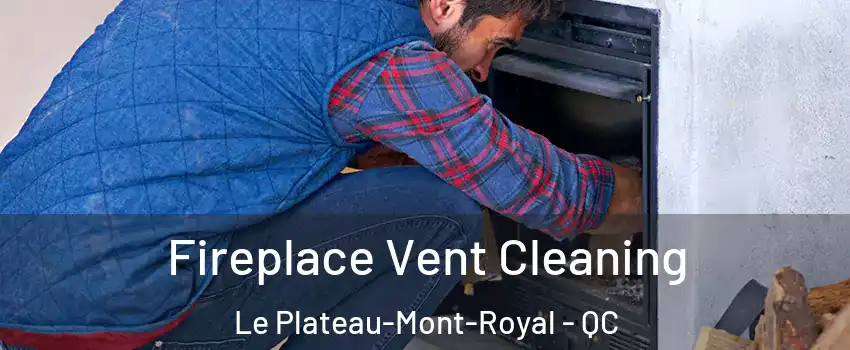  Fireplace Vent Cleaning Le Plateau-Mont-Royal - QC
