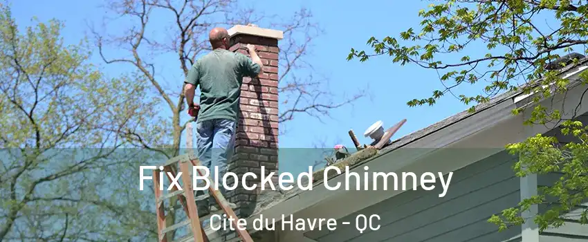  Fix Blocked Chimney Cite du Havre - QC