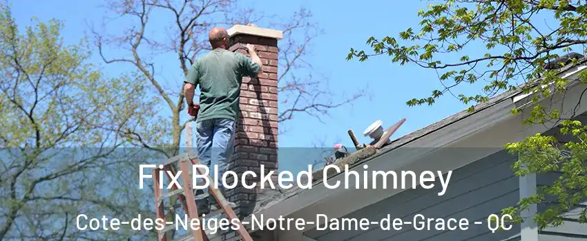  Fix Blocked Chimney Cote-des-Neiges-Notre-Dame-de-Grace - QC
