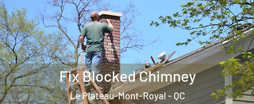  Fix Blocked Chimney Le Plateau-Mont-Royal - QC