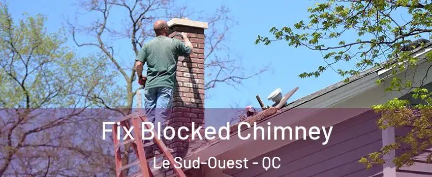  Fix Blocked Chimney Le Sud-Ouest - QC
