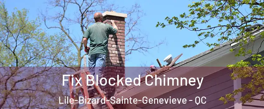  Fix Blocked Chimney Lile-Bizard-Sainte-Genevieve - QC