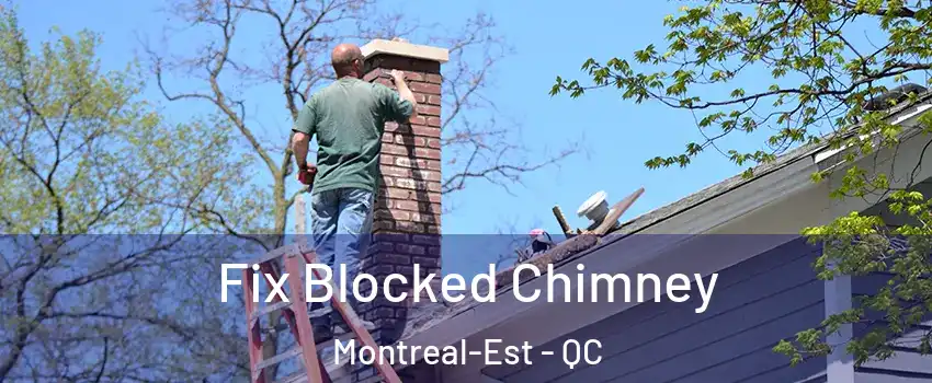  Fix Blocked Chimney Montreal-Est - QC