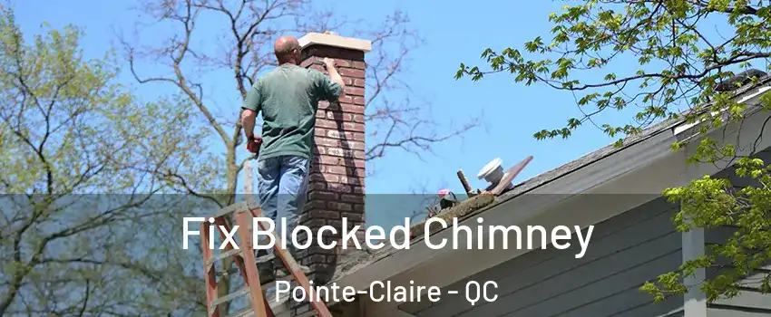  Fix Blocked Chimney Pointe-Claire - QC