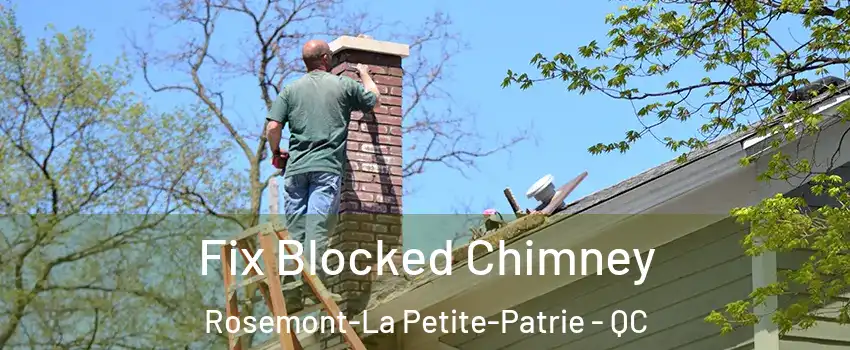  Fix Blocked Chimney Rosemont-La Petite-Patrie - QC