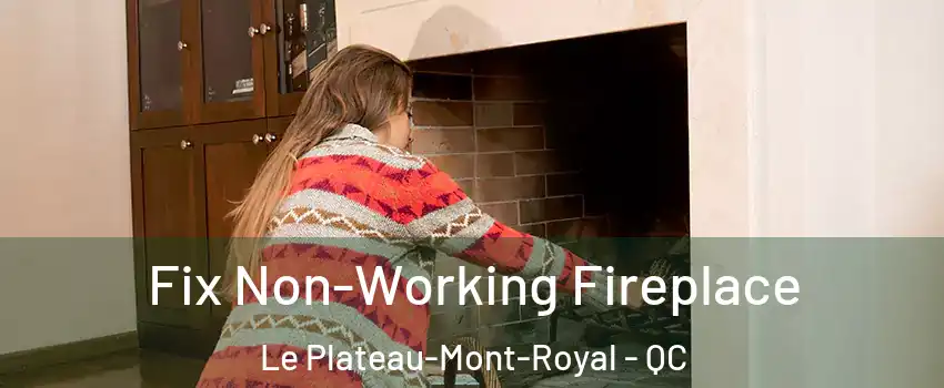  Fix Non-Working Fireplace Le Plateau-Mont-Royal - QC