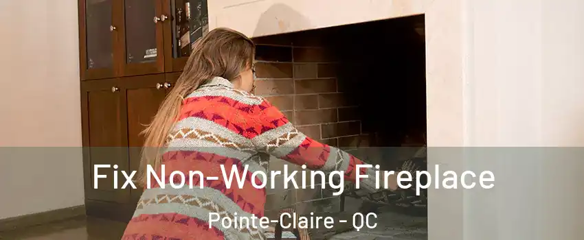  Fix Non-Working Fireplace Pointe-Claire - QC