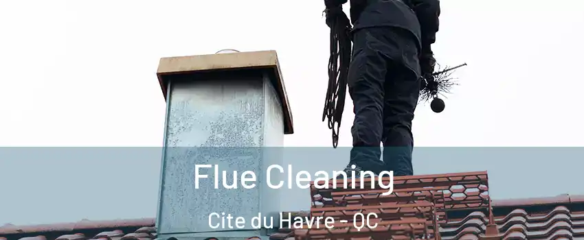  Flue Cleaning Cite du Havre - QC