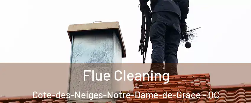  Flue Cleaning Cote-des-Neiges-Notre-Dame-de-Grace - QC