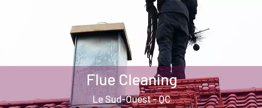  Flue Cleaning Le Sud-Ouest - QC