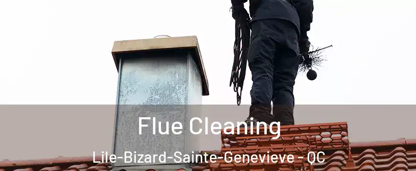  Flue Cleaning Lile-Bizard-Sainte-Genevieve - QC