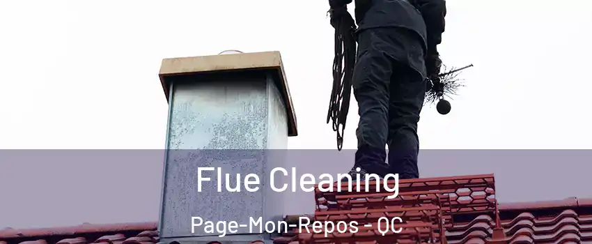  Flue Cleaning Page-Mon-Repos - QC