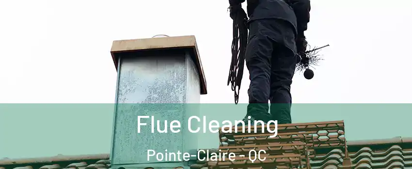  Flue Cleaning Pointe-Claire - QC