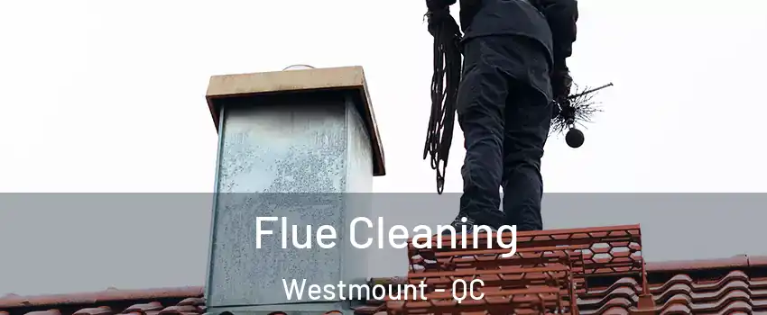  Flue Cleaning Westmount - QC