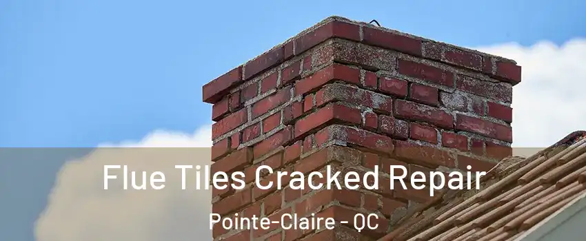  Flue Tiles Cracked Repair Pointe-Claire - QC