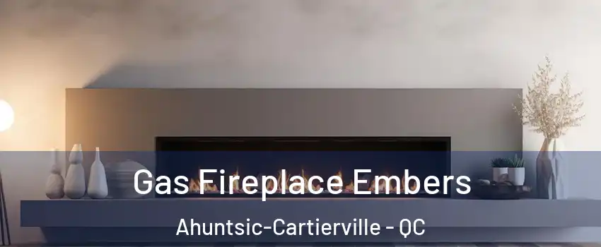  Gas Fireplace Embers Ahuntsic-Cartierville - QC