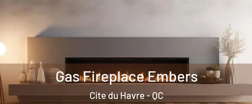  Gas Fireplace Embers Cite du Havre - QC